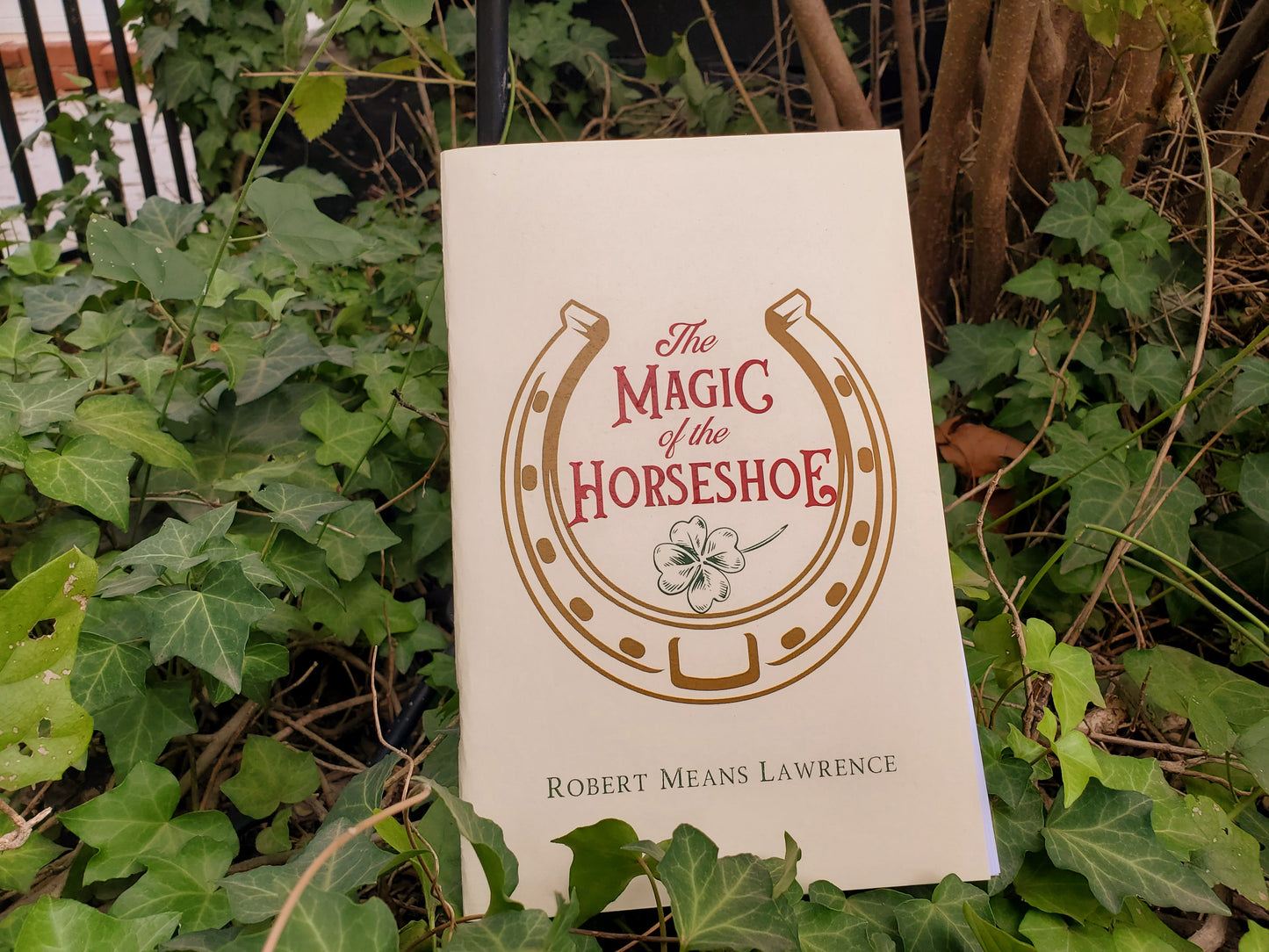 The Magic of the Horseshoe Mini Book