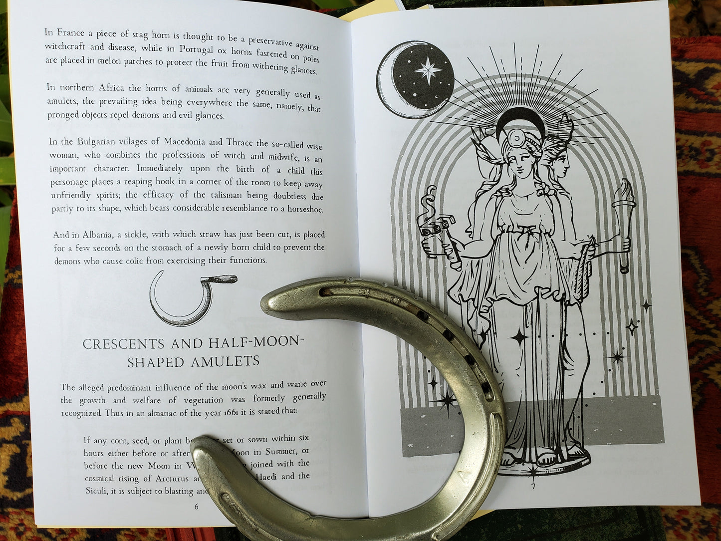 The Magic of the Horseshoe Mini Book