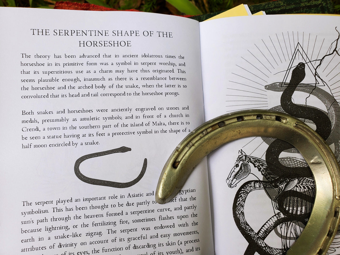 The Magic of the Horseshoe Mini Book